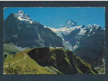 Grindelwald - First Wetterhorn, Schreckhorn